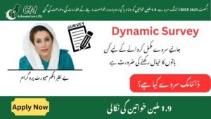 Read more about the article August 2025 BISP Dynamic Survey-1.9 million women removed, re-application steps explained