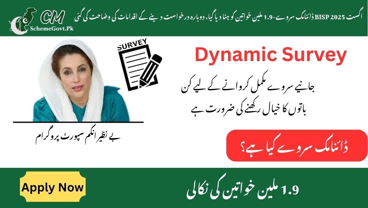 You are currently viewing August 2025 BISP Dynamic Survey-1.9 million women removed, re-application steps explained