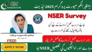Read more about the article BISP 2025 Update: NSER August Survey and Payment Information