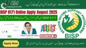Read more about the article BISP 8171 August 2025 – How to Check Your Eligibility Online