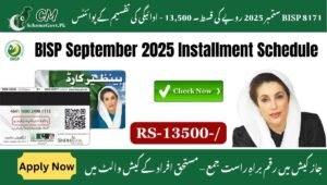 Read more about the article BISP 8171 September 2025 Installment of Rs. 13,500 – Payment Distribution Points