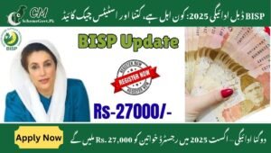 Read more about the article BISP Double Payment 2025: Who Qualifies, How Much & Status Check Guide