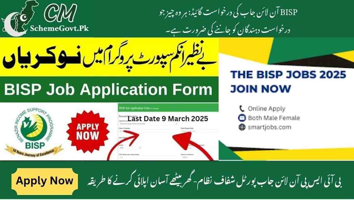 You are currently viewing BISP Online Jobs Application Guide: Everything Applicants Need to Know