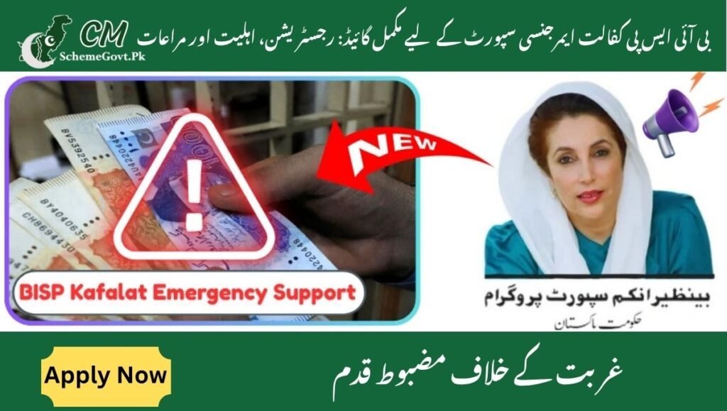 Read more about the article Complete Guide to BISP Kafalat Emergency Support: Registration, Eligibility & Perks