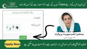 Read more about the article Easy Steps to Apply for BISP Jobs Through the Online Portal