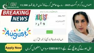 Read more about the article Ehsaas Program August 2025 – Easy Method to Get Rs. 13,500 Qist