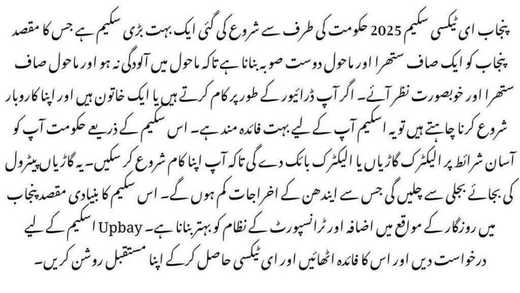Punjab E-Taxi Scheme 2025
