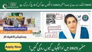 Read more about the article BISP Dynamic Survey Update (September 2025): Who Has Been Excluded from Payments?