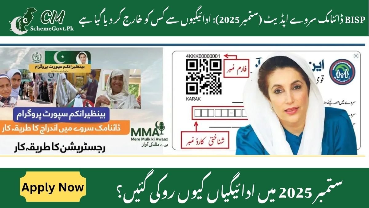 You are currently viewing BISP Dynamic Survey Update (September 2025): Who Has Been Excluded from Payments?