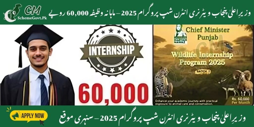 Read more about the article CM Punjab Veterinary Internship Program 2025 – Monthly Stipend of 60,000