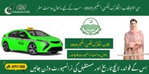 Read more about the article CM Punjab Electric Taxi Scheme 2025 Launch Date, Benefits and Transport Vision