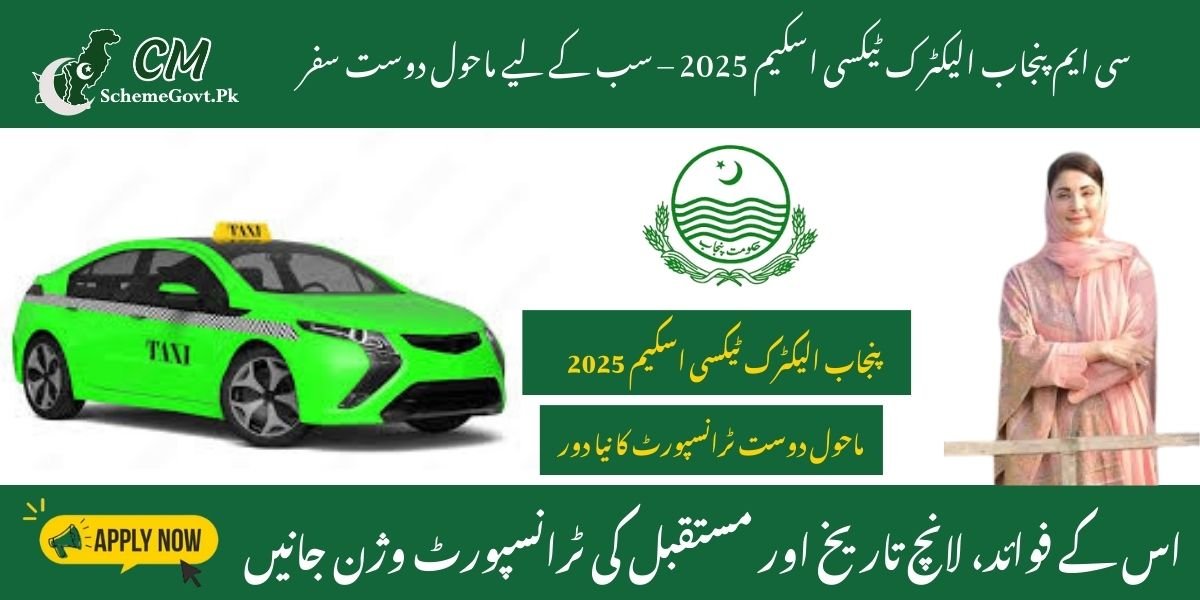 Punjab Electric Taxi Scheme 2025