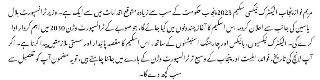 Punjab Electric Taxi Scheme 2025