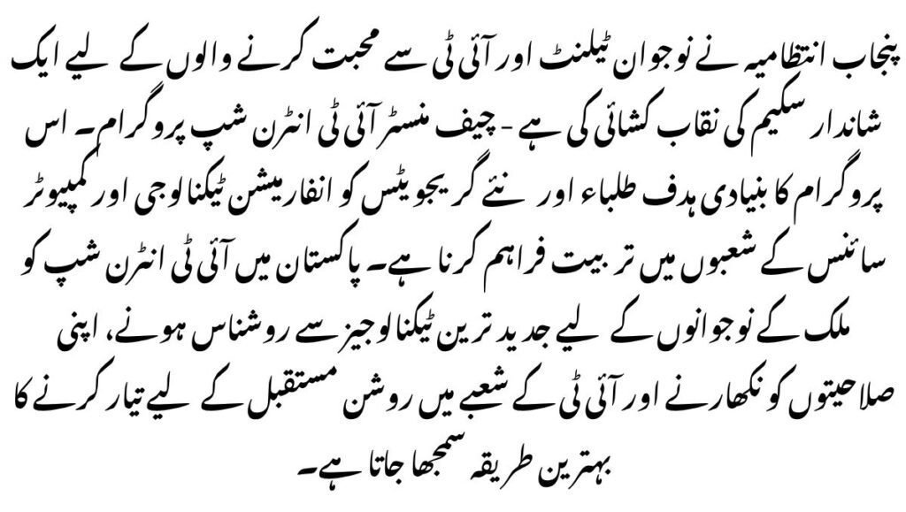 Chief Minister IT Internship Program