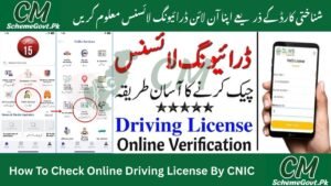 Read more about the article How To Check Online Driving License By CNIC